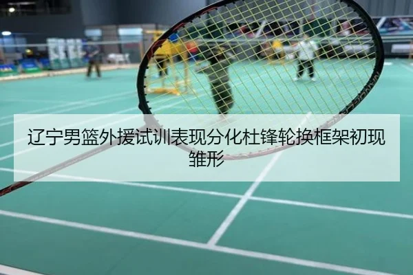 辽宁男篮外援试训表现分化杜锋轮换框架初现雏形