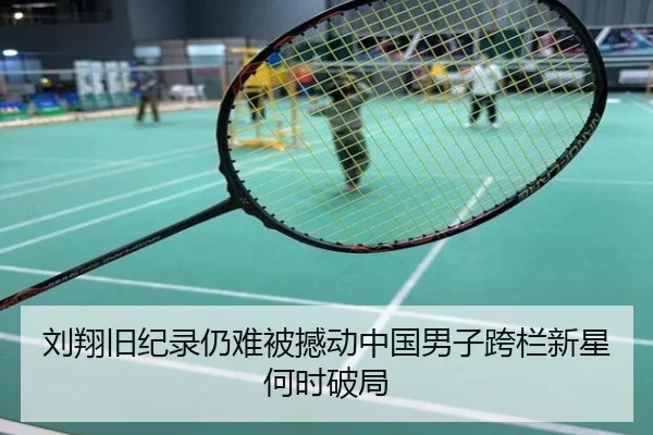 刘翔旧纪录仍难被撼动中国男子跨栏新星何时破局