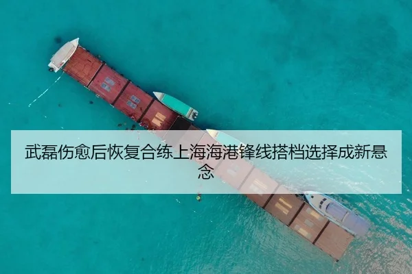 武磊伤愈后恢复合练上海海港锋线搭档选择成新悬念